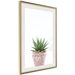 Arkiio Affisch Succulents In Pot [Poster] 20x30 Poster